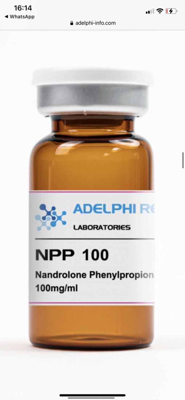 Adelphi Research NNP 100